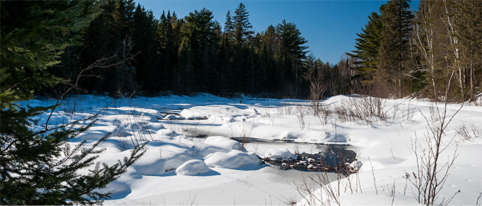 snow scene