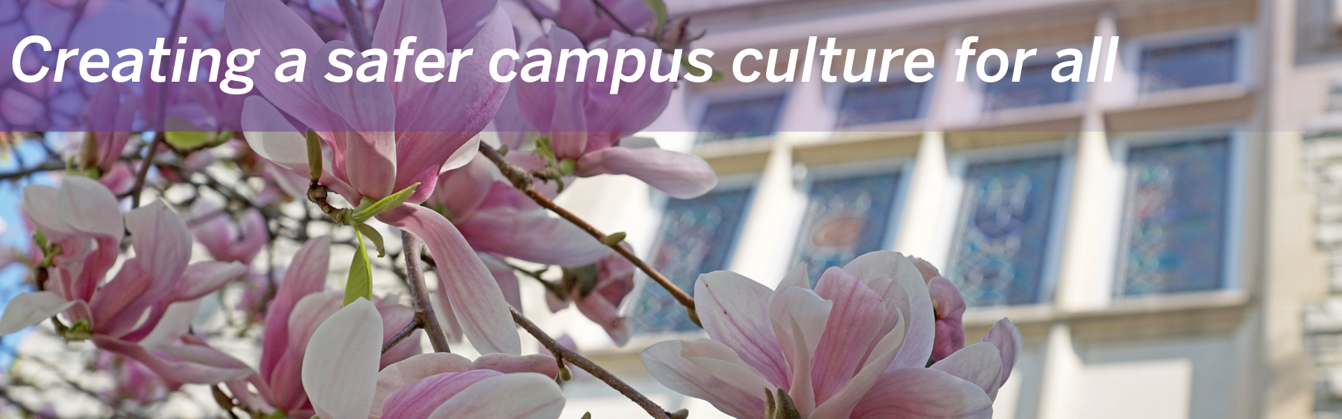 Flowers in bloom on a tree. Text reads:"Creating a safer campus culture for all"