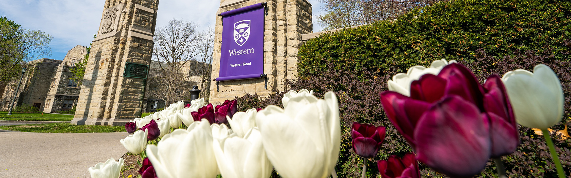 Western's gates with flowers in the foreground.