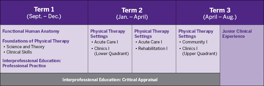 Year 1 Curriculum