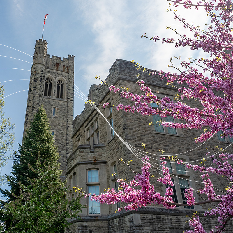 Photo of UC Tower with pink flower branches in front of the view. White impact lines cross the screen.