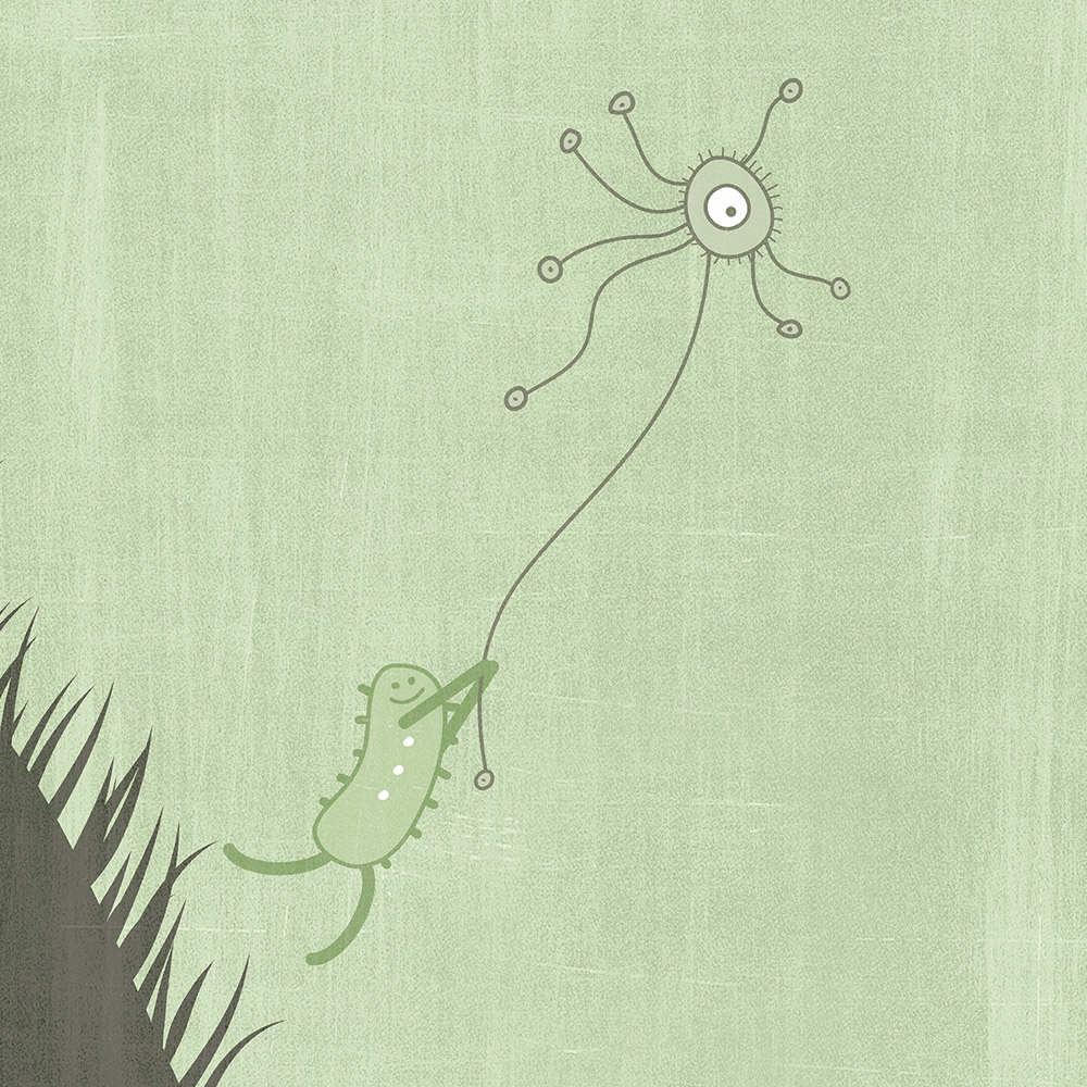 An illustration of a cell tethered to another one, floating away as if carried by a light breeze.