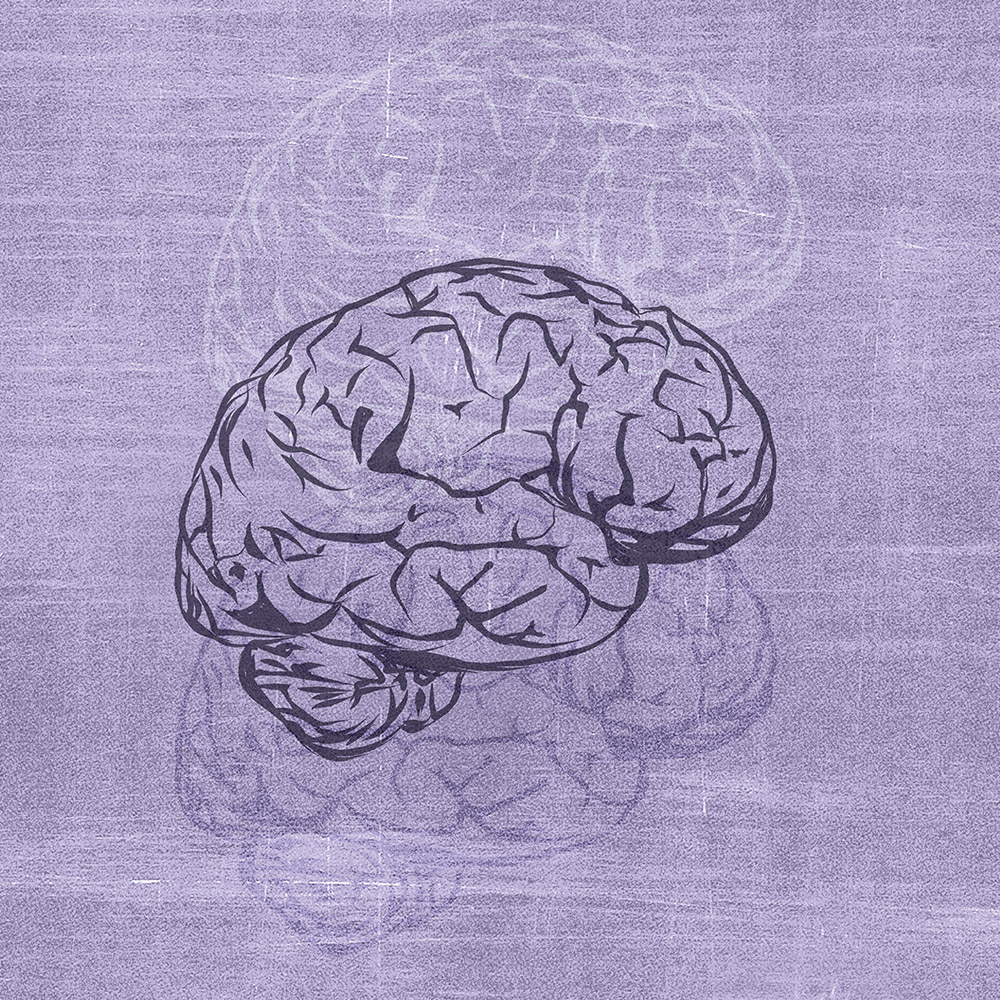 An illustration of three human brains overlaid on one another.