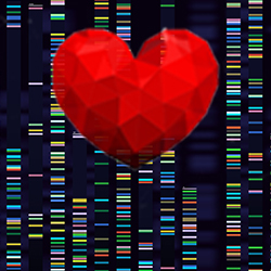 Heart over genetic sequencing