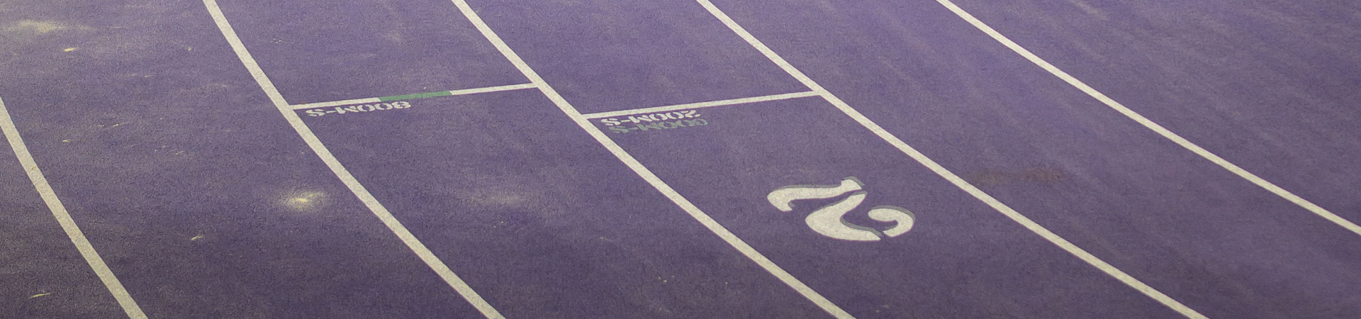 Lines on a indoor track.