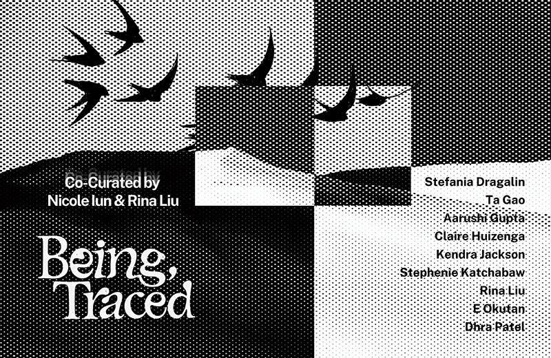 birds in black and white