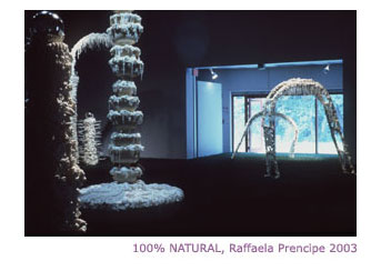 Artlab MFA Thesis Exhibition: Raffaela Prencipe, 100% Natural (2003)