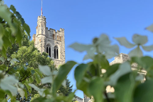 Flowers with campus building in the background