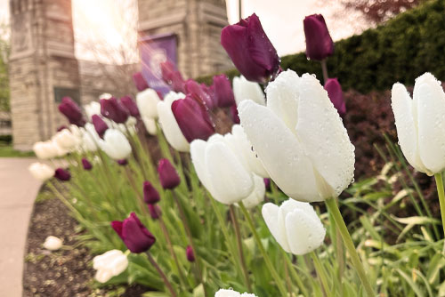 Reflection of the University Drive bridge in Deshkan Ziibi