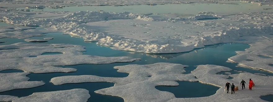 Decorative image of an overhead view of people in different coloured coats on ice floes in the Arctic.