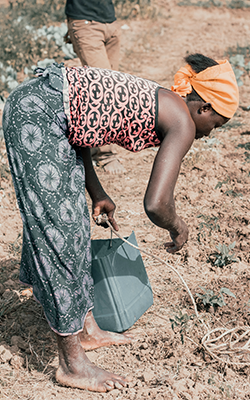 woman bending over in farm field wearing a shirt, long skirt and bandana made from fabric with intricate patterns