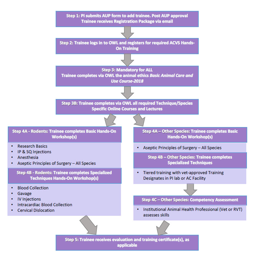 training program flowchart