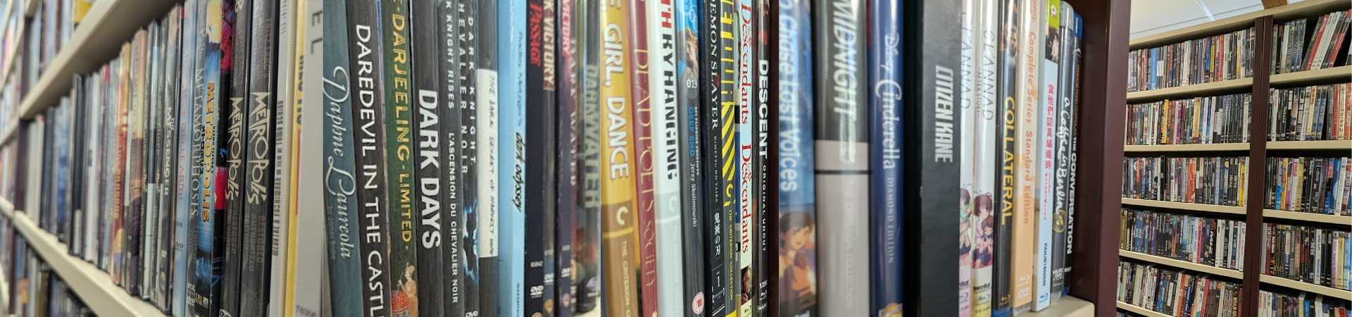 A shelf with a row of DVDs
