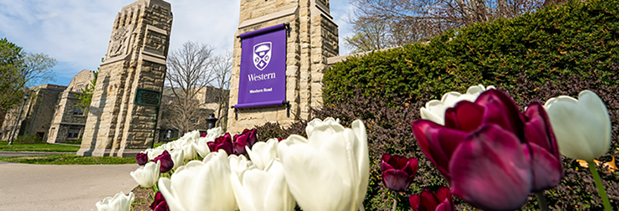 Western rises dramatically in QS World University Rankings by Subject