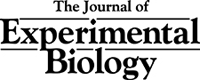 Journal of Experimental Biology