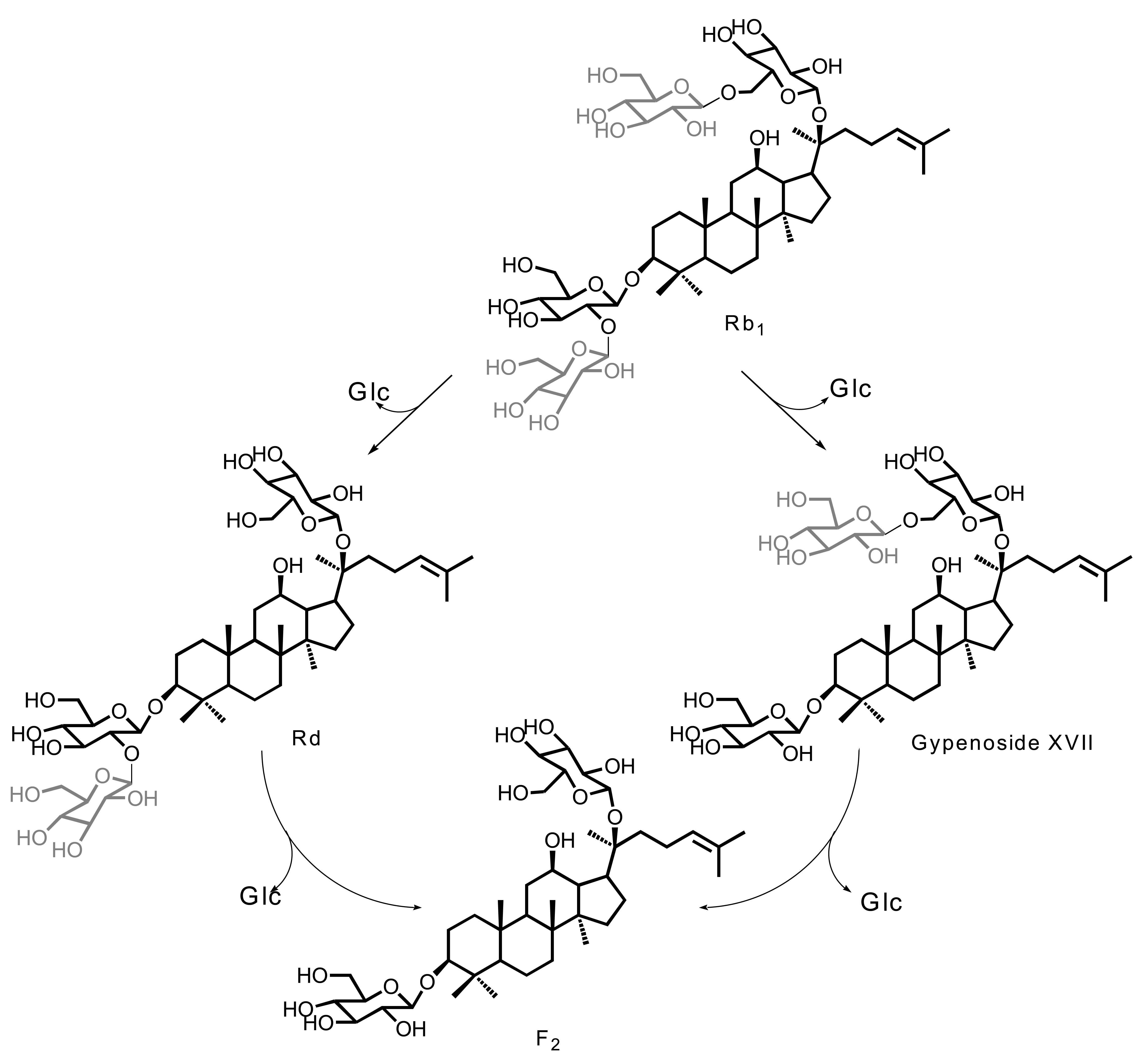 Ginsenoside conversion by extracelluular glycosidases of P. irregulare