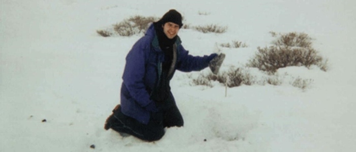 Frozen Soil