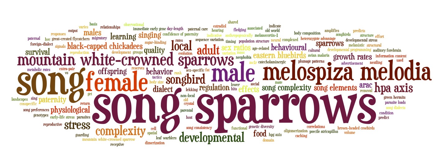 Word cloud of recent paper titles