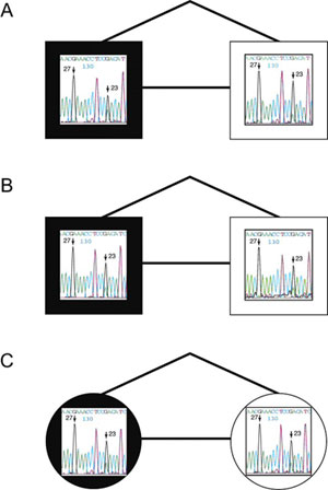 Sequence Flourogram