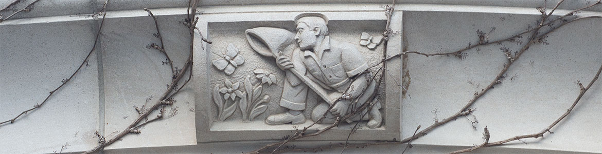 butterfly collector stone work from middlesex college