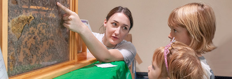 Grad student teaching children about bees at London Bug Day