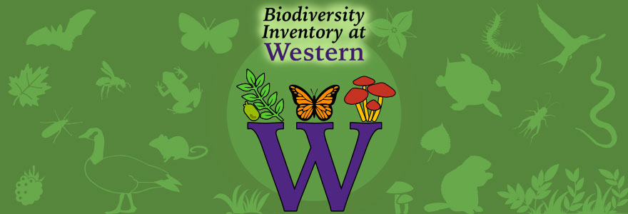 Western Biodiversity Logo