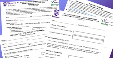 Collage of pdfs for Forms and Deadlines