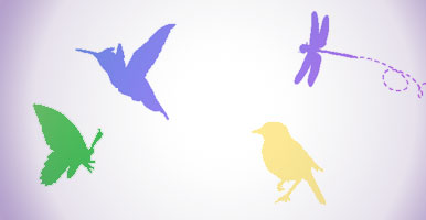 stylized silhouettes of birds and insects for Seminars