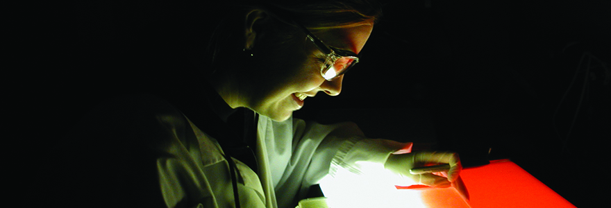 graduate student taking plaque counts from a cell lawn  for Physiology and Biochemistry