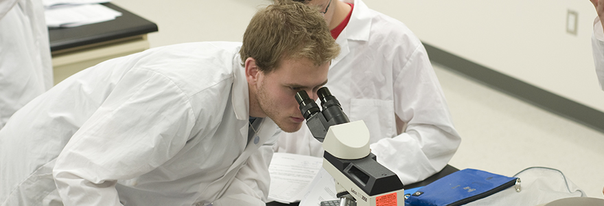 Grad Teaching Assistant looking in a microcope in an undergraduate lab