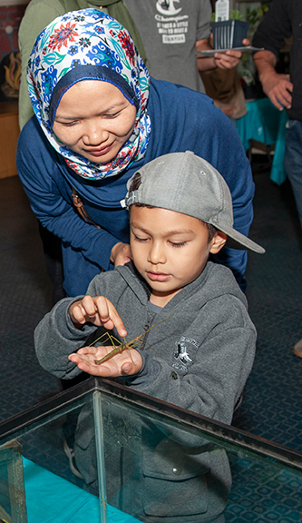 Child holding walking stick bug as mother looks on mother