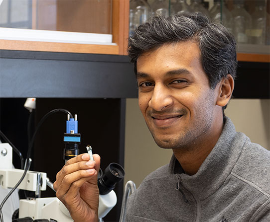 Postdoctoral fellow Sajesh Vijayan and bee