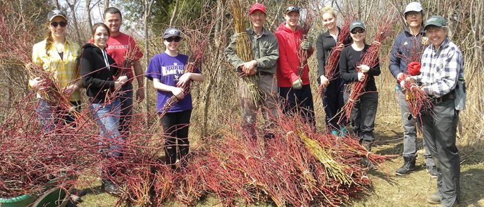 Restoration Ecology