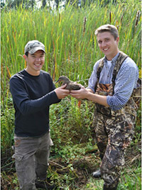 Graduate students holding a Mallard with a backpack transmitter