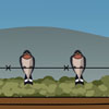 swallows on fence