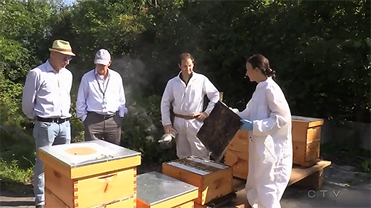 Drs. Graham Thompson and Gregor Reid inspect the hives.