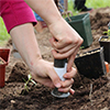 Planting pollinator garden