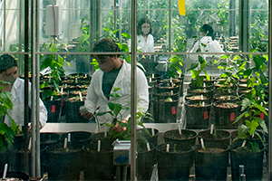people working in a biome of the bitoron for research facilities