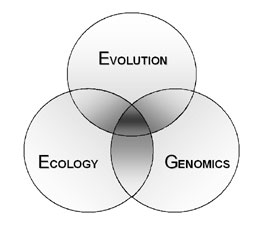 Research Venn Diagram