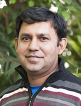 Shakwat Sohel Shakwat Sohel
