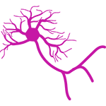 Nerve cell symbol for behaviour and neurobiology