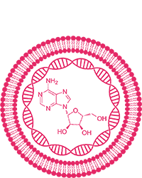 Cell and Molecular Biology Icon