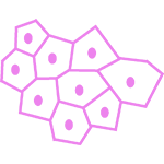 Stylized cells for genes cells and health