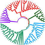 Phylogenetic tree for genomes and evolution