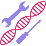 Stylized DNA strand and tools