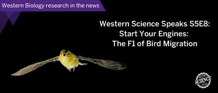Western Biology nresearch in the news_Animal Migration