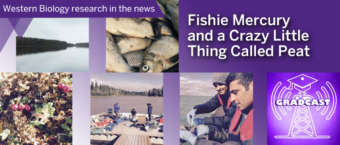 Western Biology research in the news Fishie Mercury