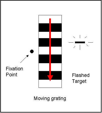 retinal motion