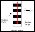 effects of retinal motion