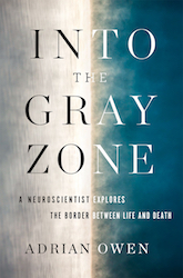 gray zone